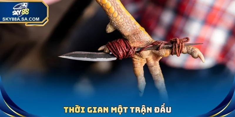 Thời gian một trận đấu